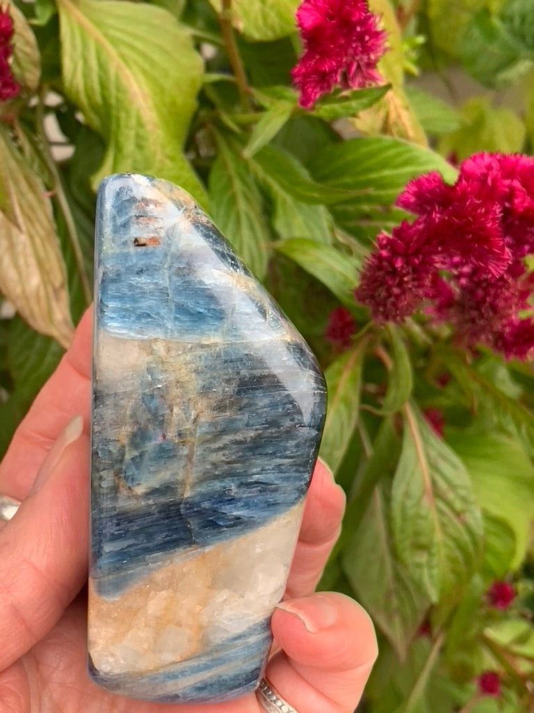 Blue  Kyanite with Quartz Free Form - India