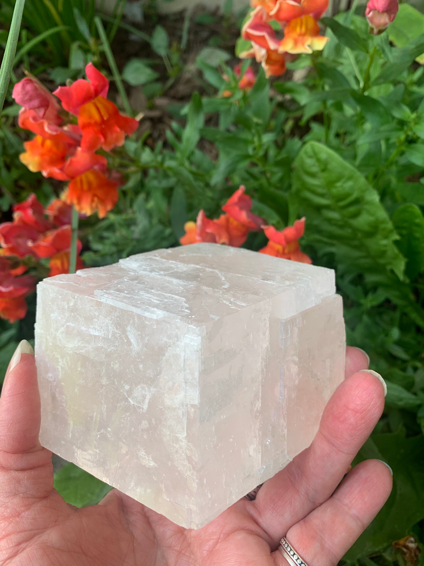 Pink Optical Calcite - Mexico