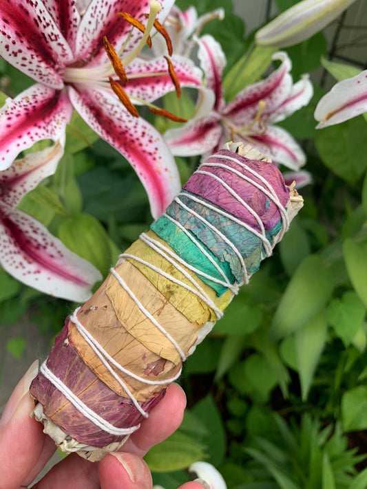 Chakra Sage Smudge Bundle