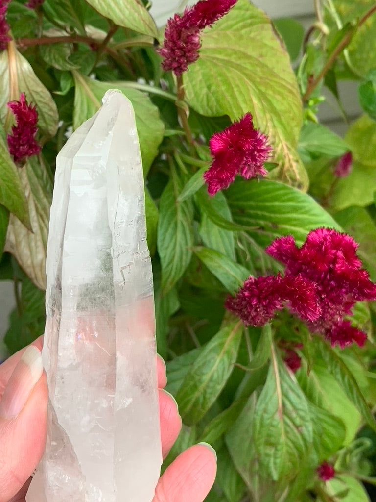 Lemurian Quartz Point