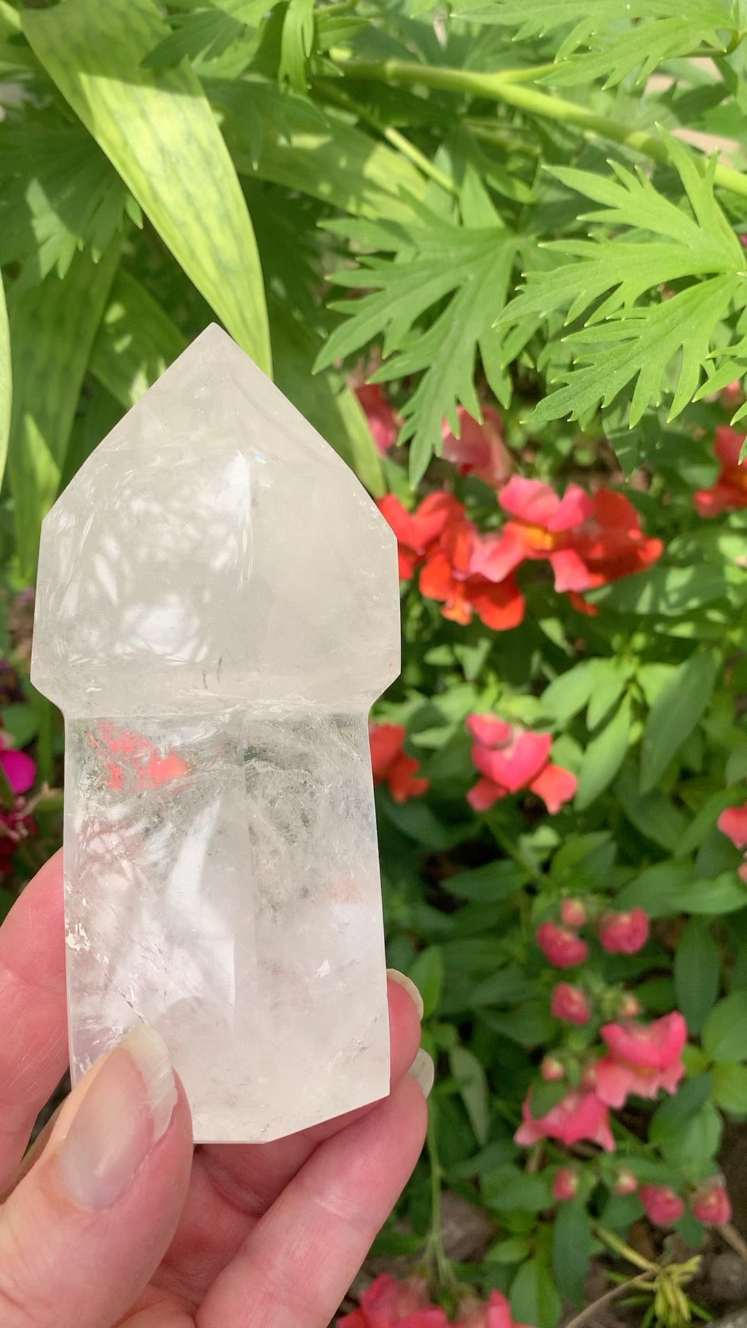 Quartz Scepter - Medium