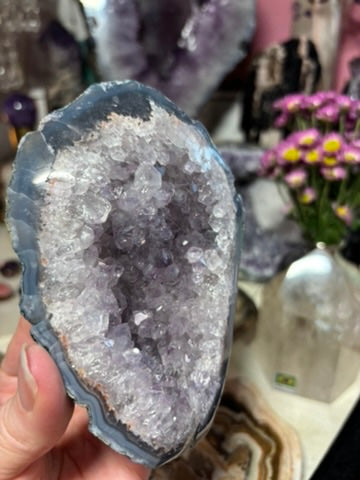 Amethyst Cluster | Brazil