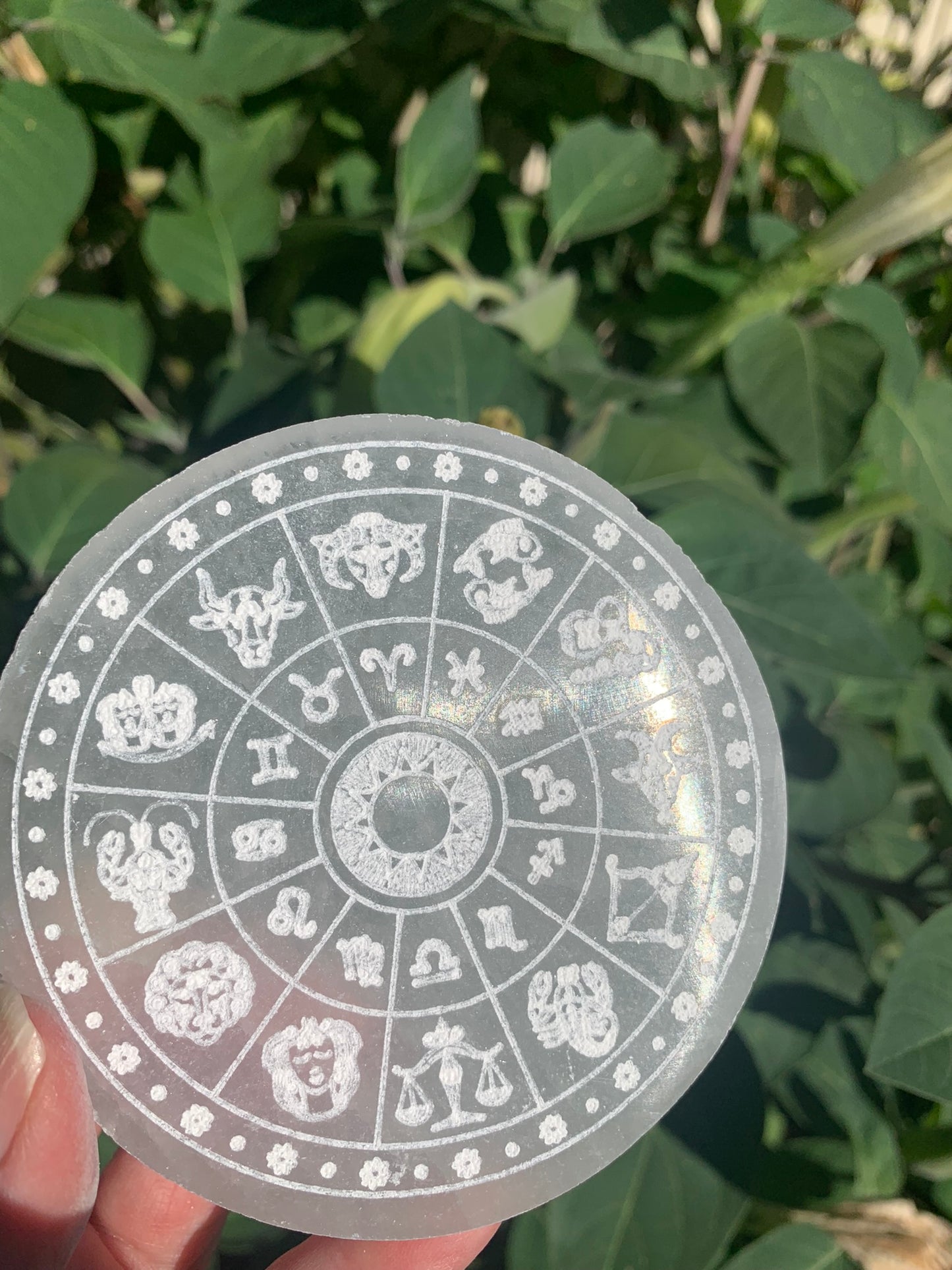 Selenite | Zodiac Wheel SMALL | Charging Plate - Grid