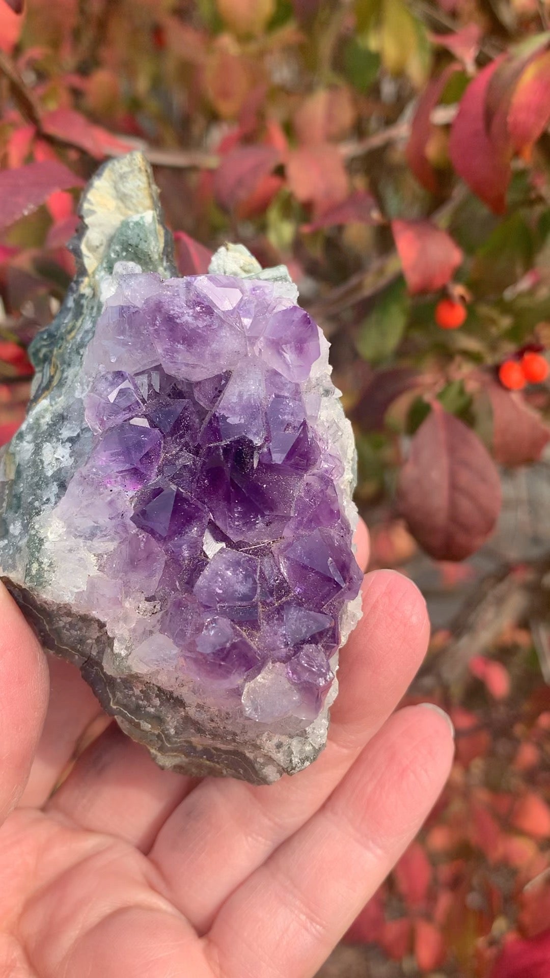 Amethyst Cluster with Goethite Inclusions