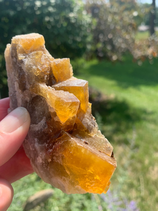 Cubic Yellow Fluorite cluster