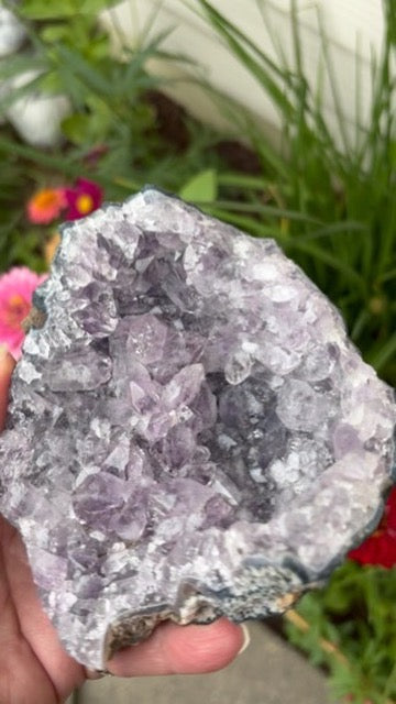 Amethyst Cluster | Brazil