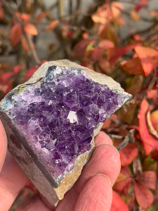 Amethyst Cluster cut bottom