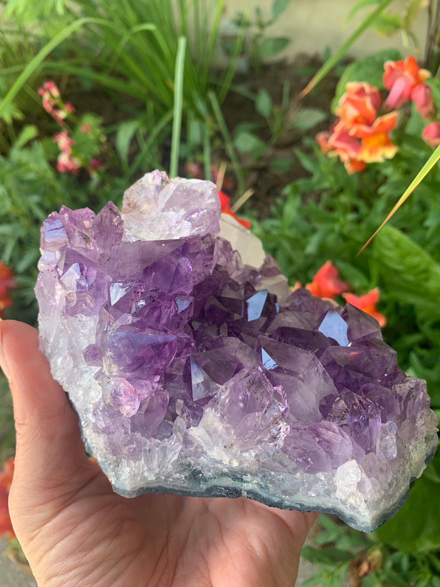 Amethyst Cluster