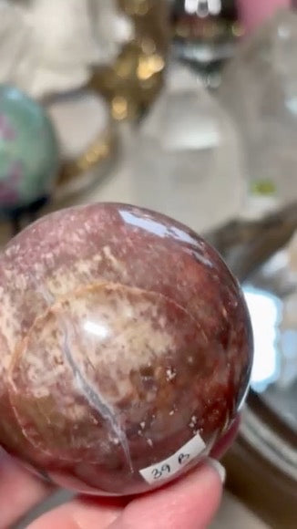 Petrified Wood Sphere - Madagascar