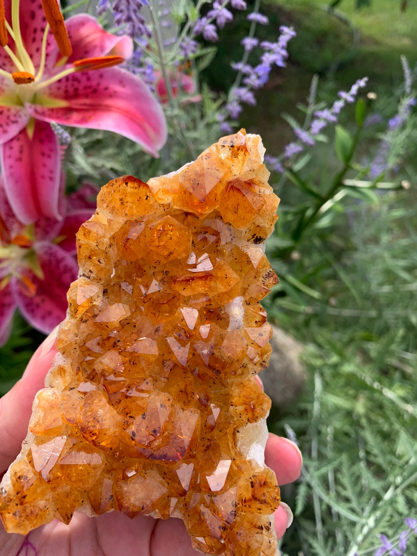 Golden Amethyst - Citrine Cluster - Madagascar