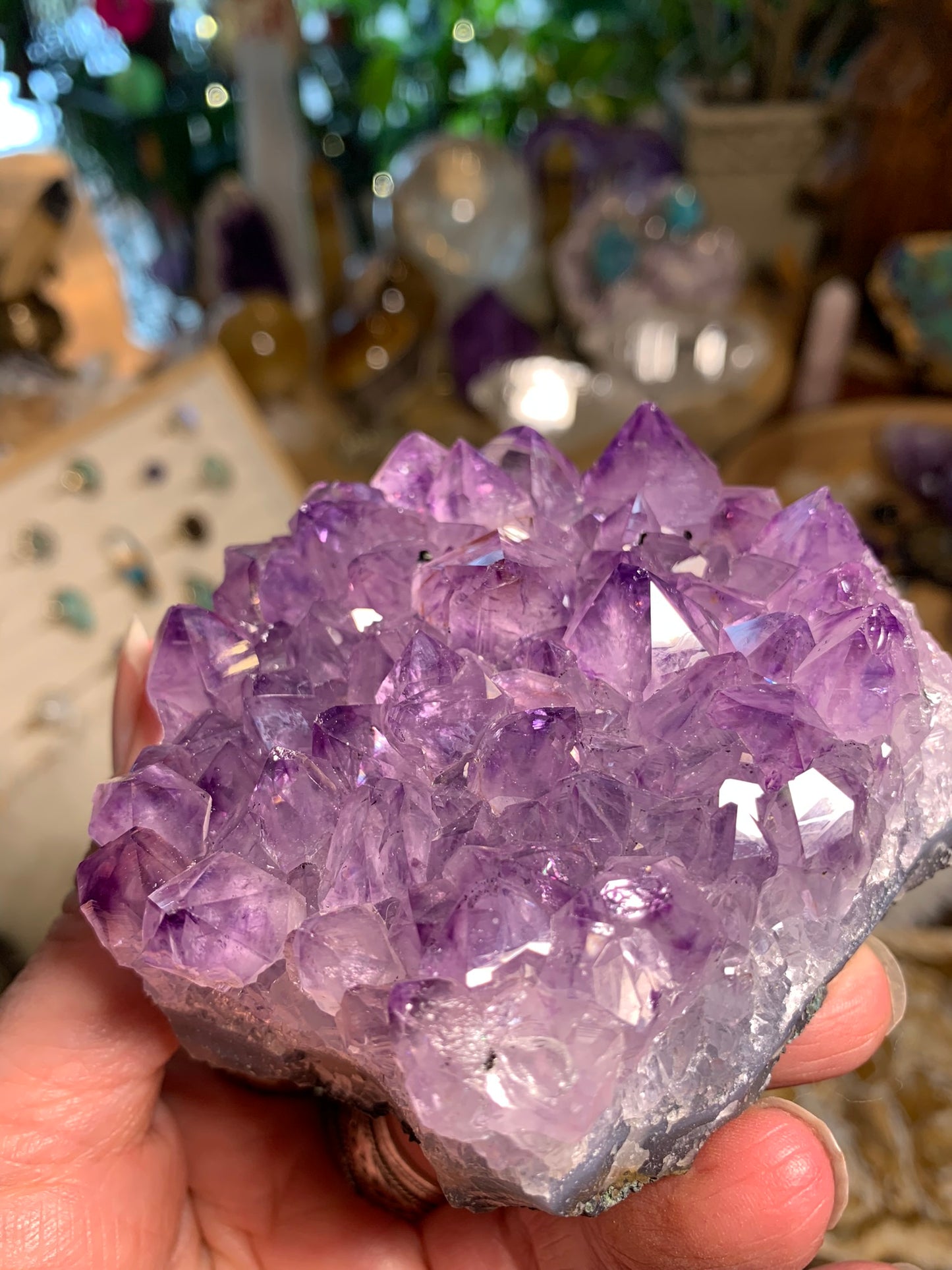 Phantom Amethyst - Cluster - Brazil