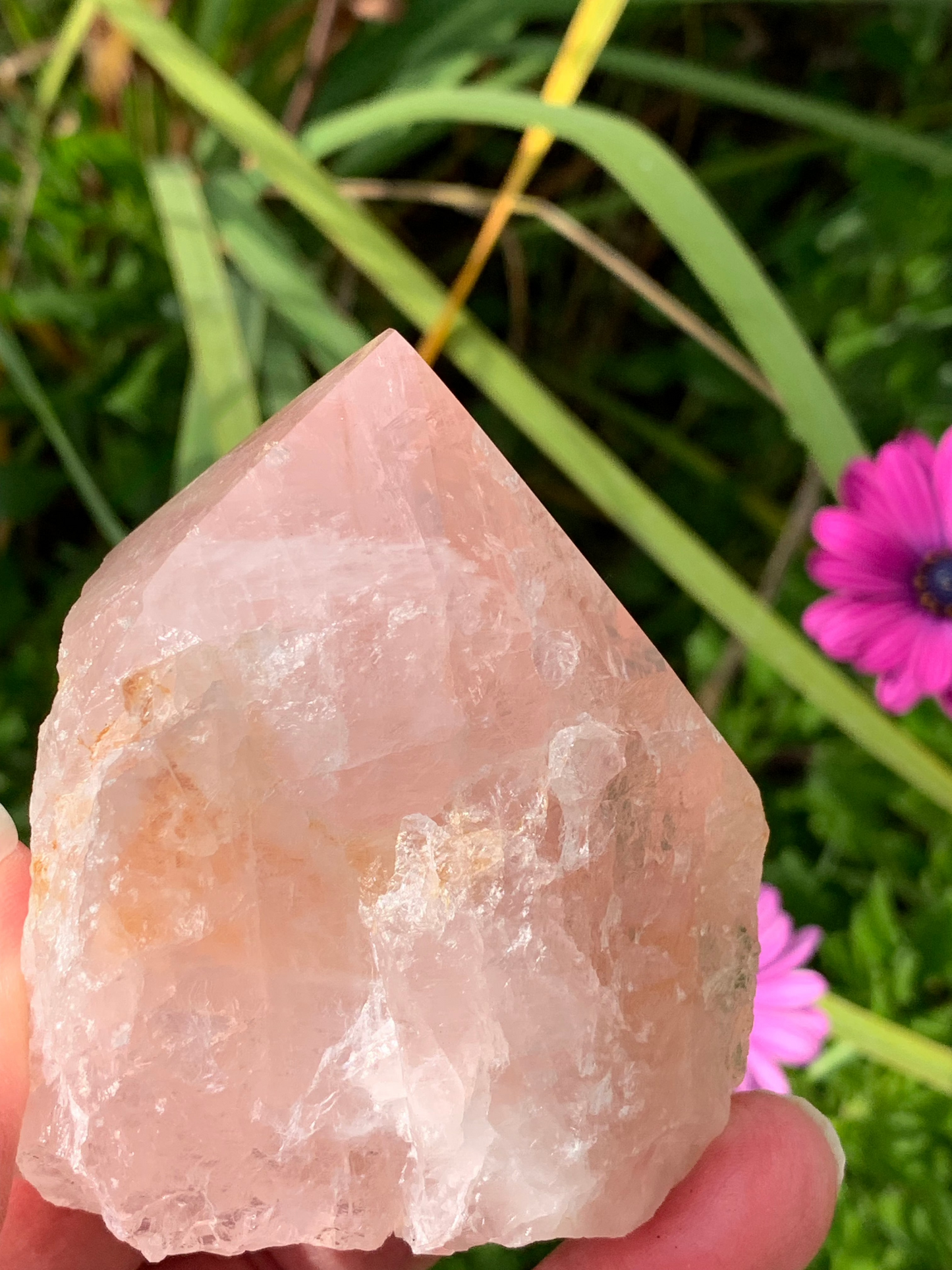 Rose Quartz Point with Golden Healer Inclusions