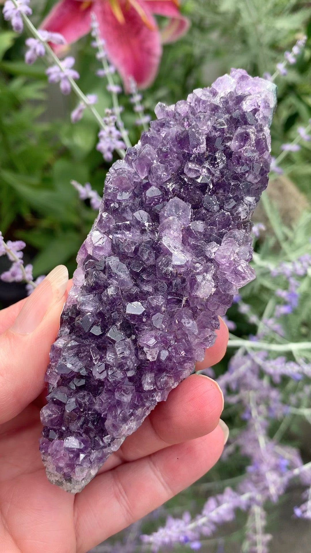 Amethyst Cluster