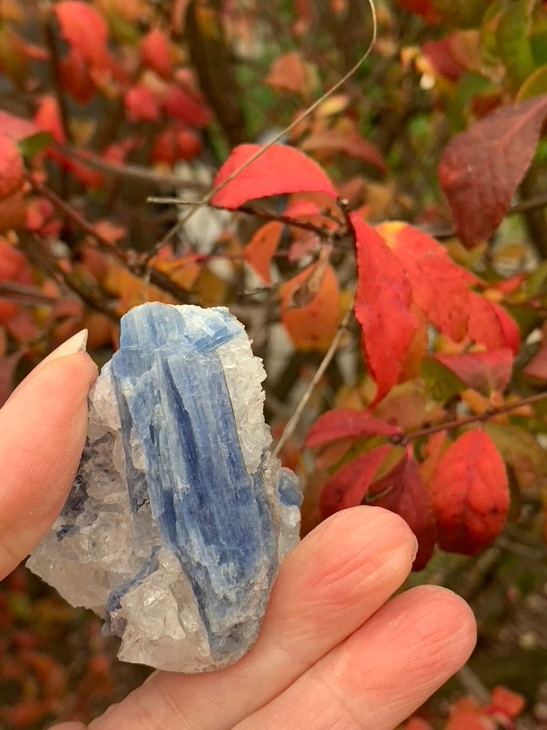 Blue  Kyanite with Quartz natural - Brazil