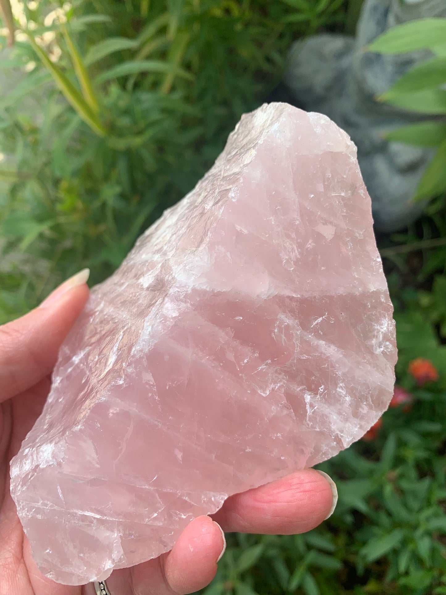 Rose Quartz Natural