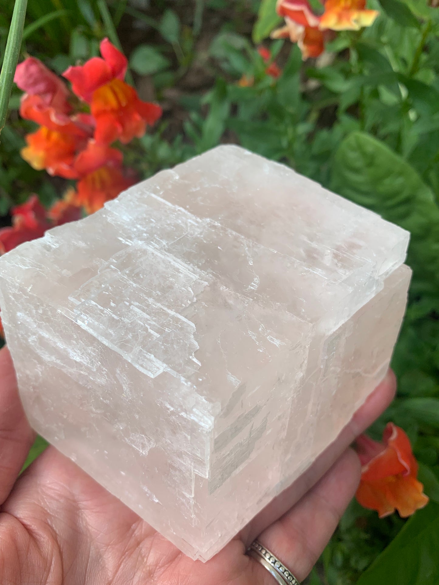 Pink Optical Calcite - Mexico