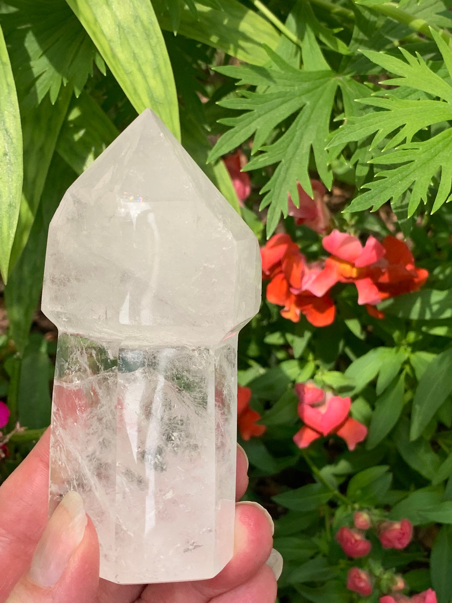 Quartz Scepter - Medium