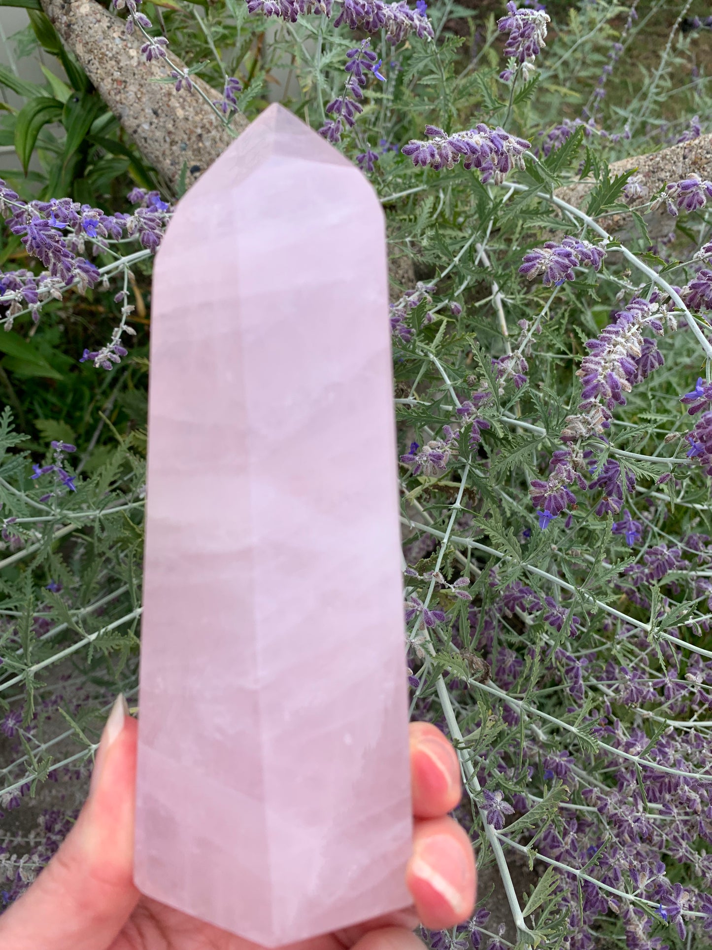 Rose Quartz Generator - Madagascar