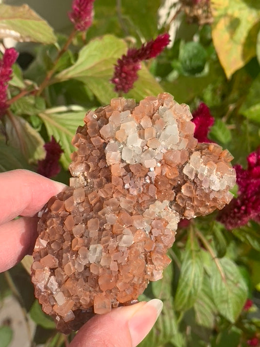 Star Aragonite Cluster