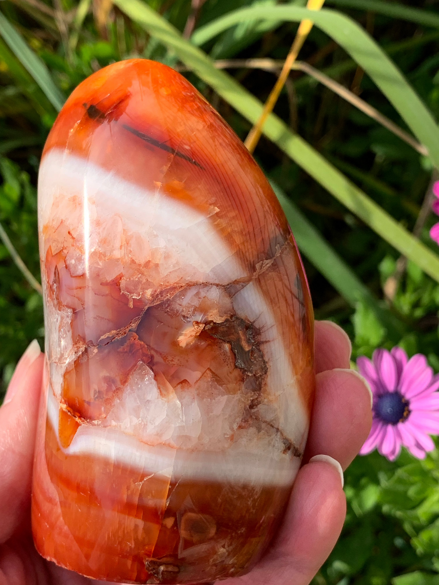 Carnelian Free Form - Madagascar