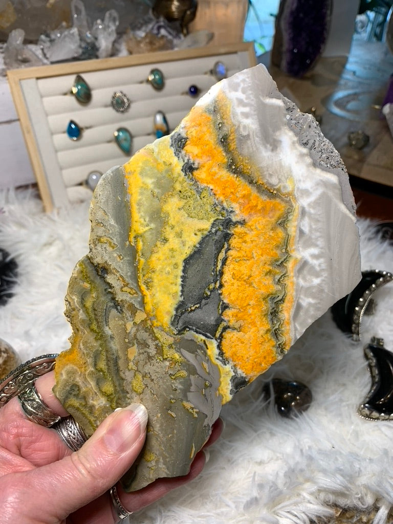 Bumble Bee Jasper charging plate