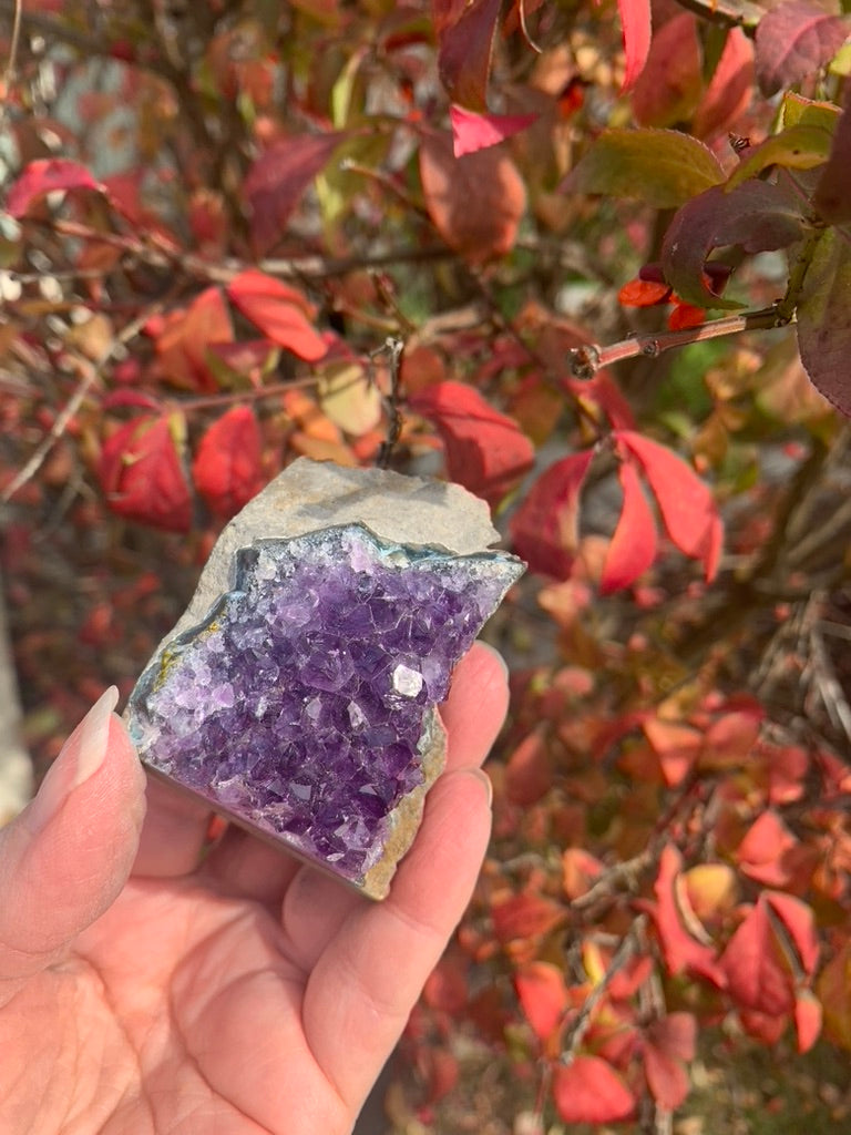 Amethyst Cluster cut bottom