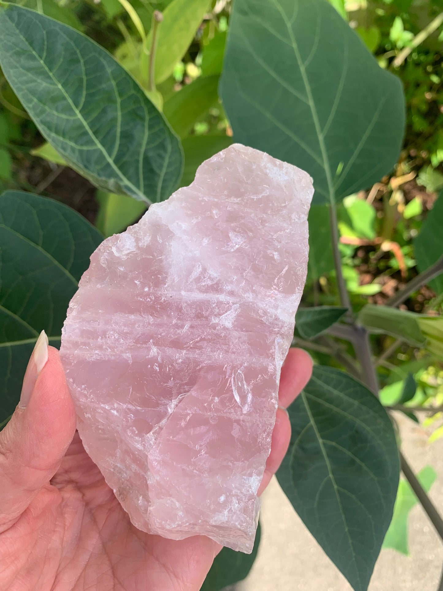 Rose Quartz Natural