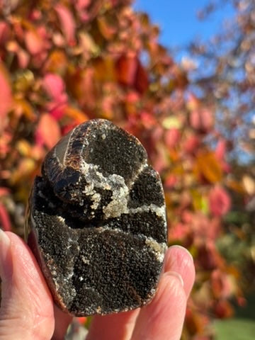 Septarian Druzy Dragon Egg - Madagascar