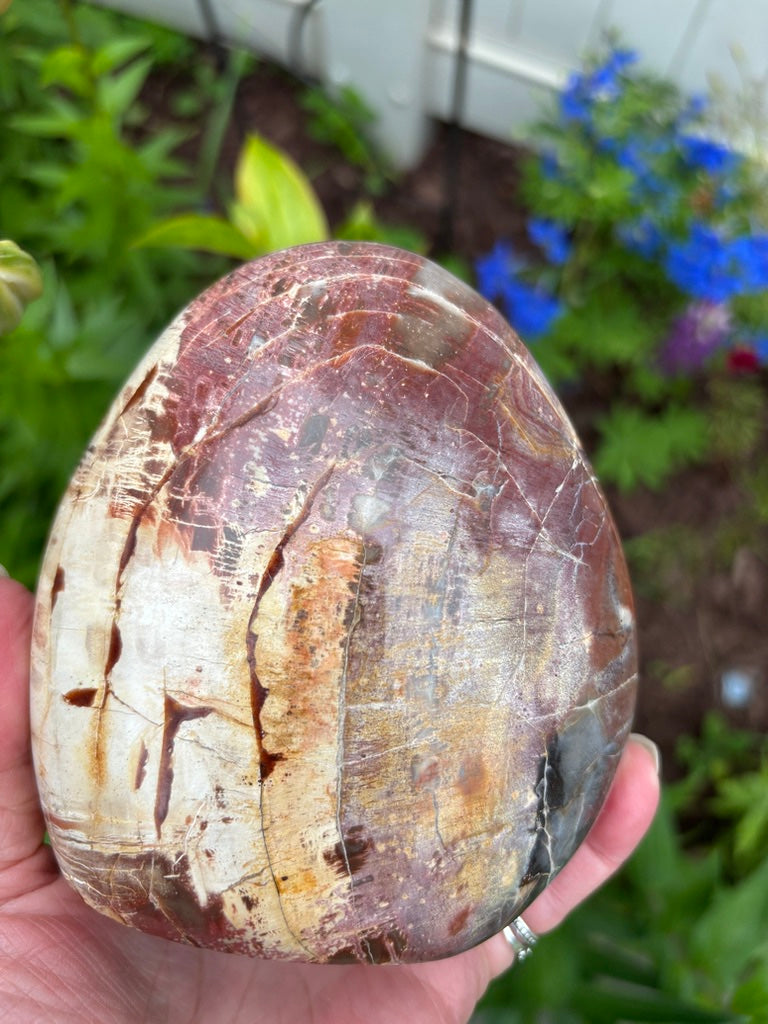 Petrified Wood - Free Form - Madagascar