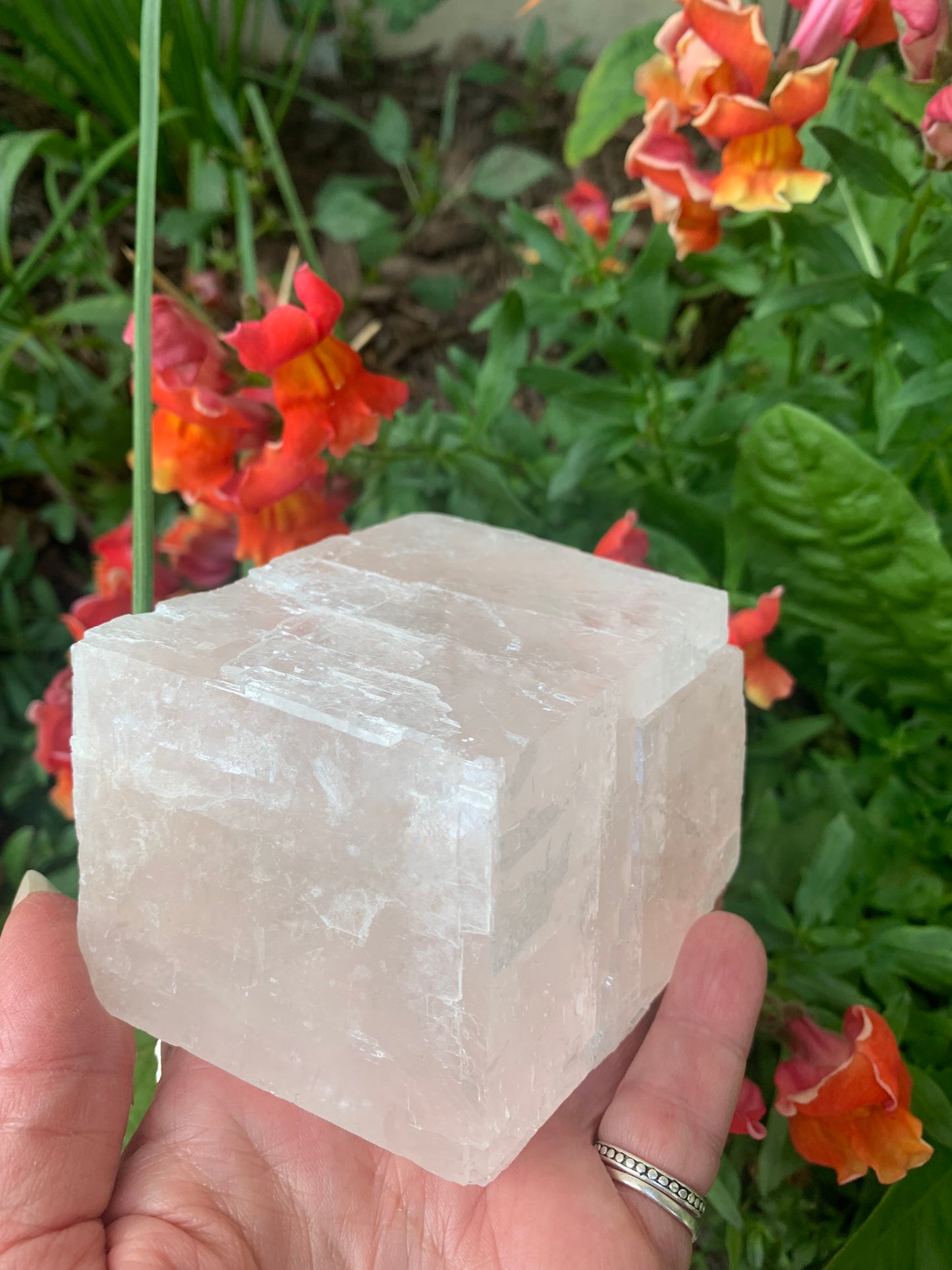 Pink Optical Calcite - Mexico