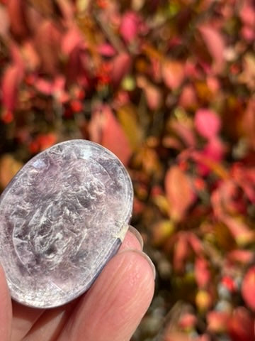 Gem Lepidolite - Palm Stone