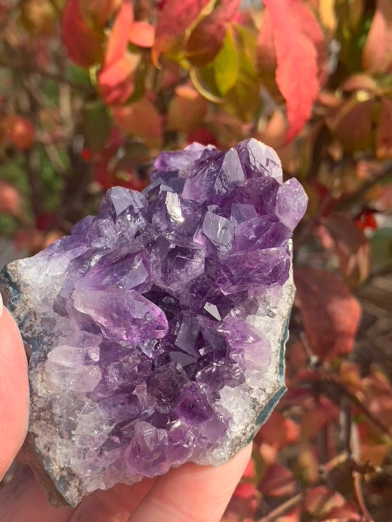 Amethyst Cluster