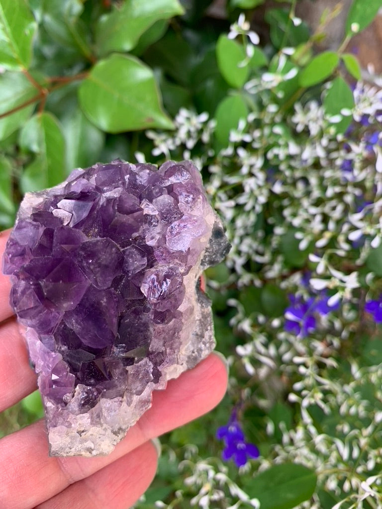 Amethyst Cluster