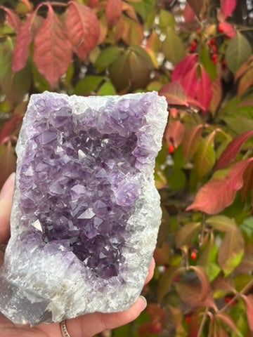 Amethyst Cluster