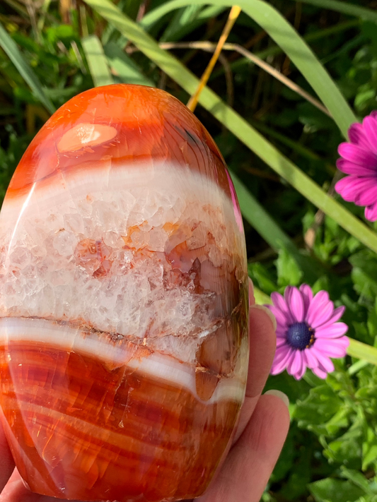 Carnelian Free Form - Madagascar