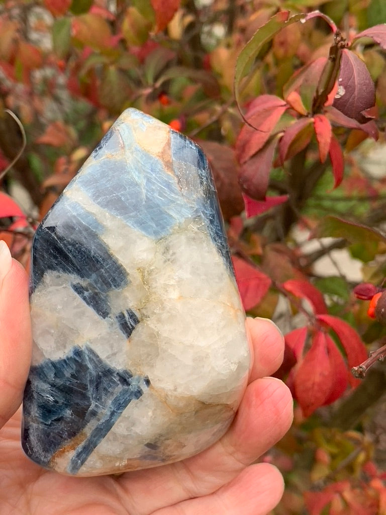 Blue  Kyanite with Quartz Free Form - India