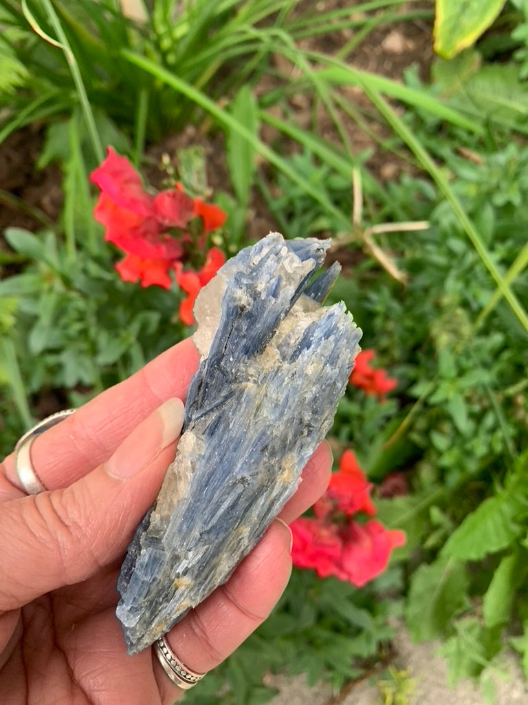 Blue Kyanite with Quartz natural - Brazil