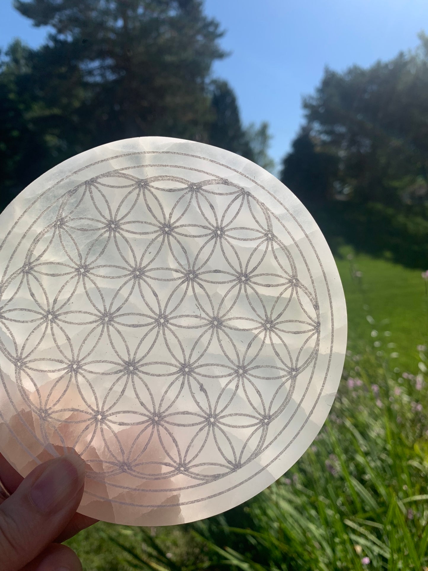 Selenite Flower of Life | Charging Plate - Grid