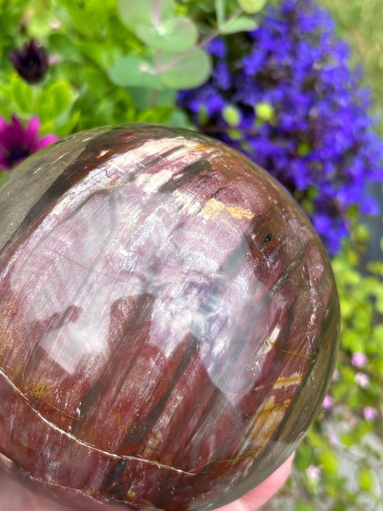 Petrified Wood Sphere - Madagascar