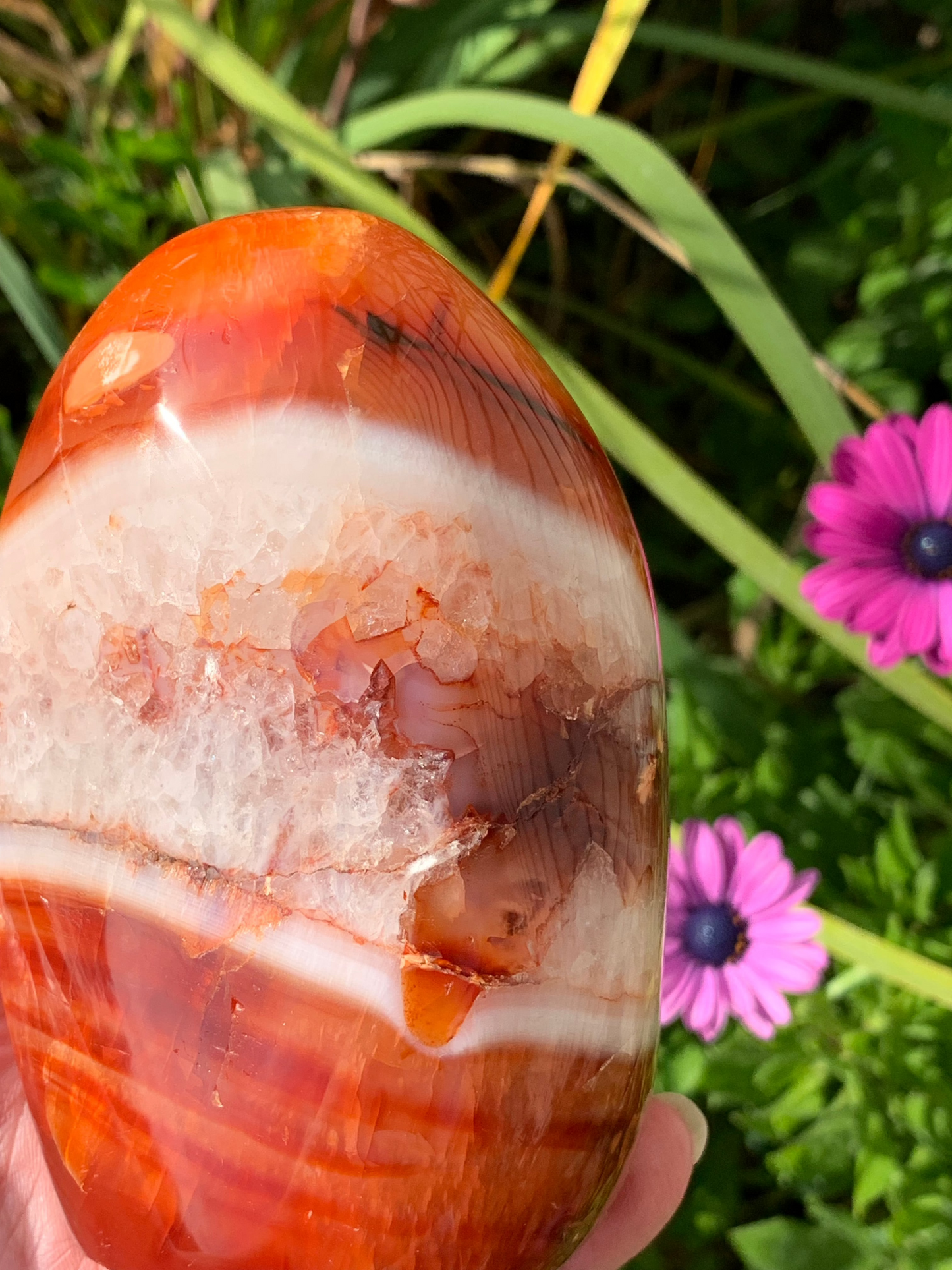 Carnelian Free Form - Madagascar