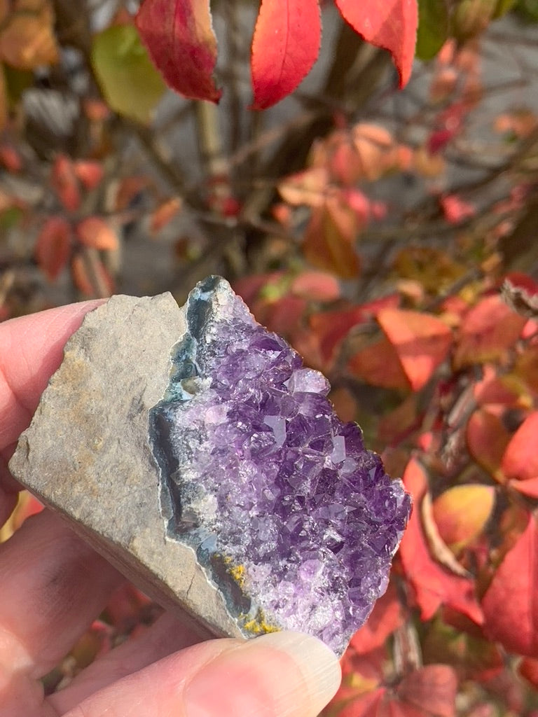 Amethyst Cluster cut bottom