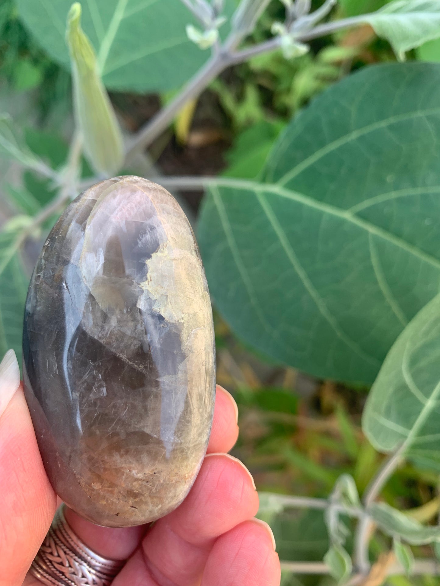 Black Moonstone Palm Stone