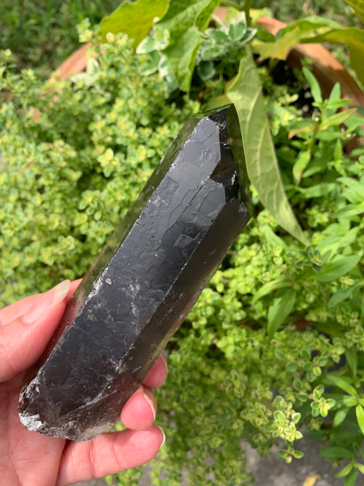 Smokey Quartz Point - Brazil