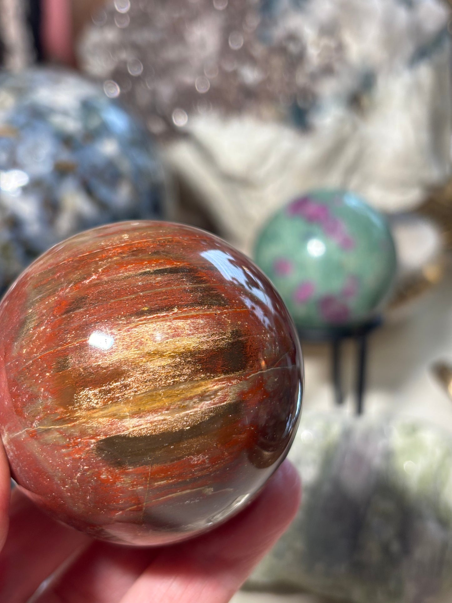 Petrified Wood Sphere - Madagascar