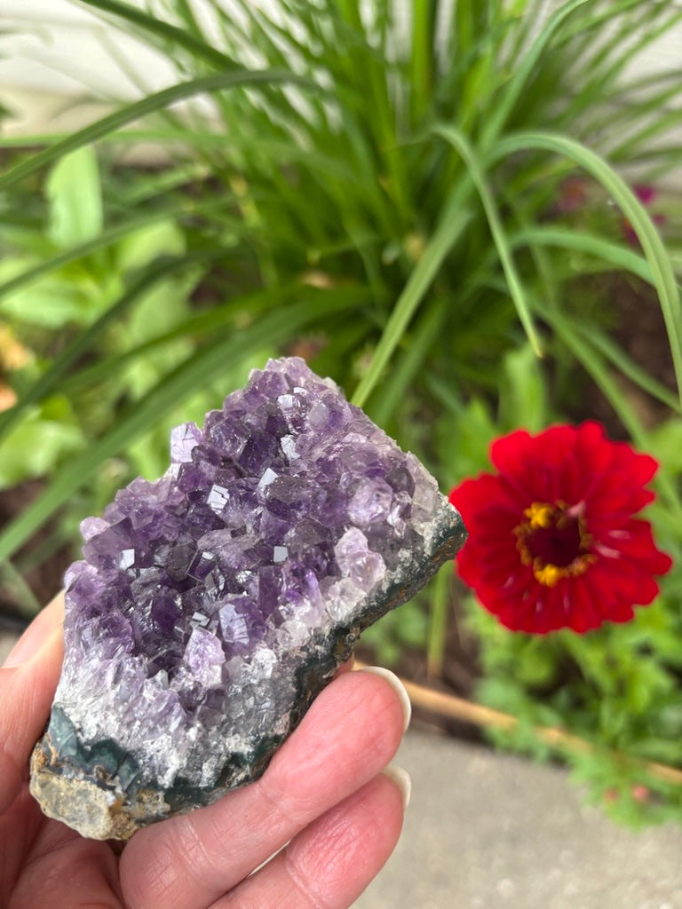 Amethyst Cluster | Uruguay