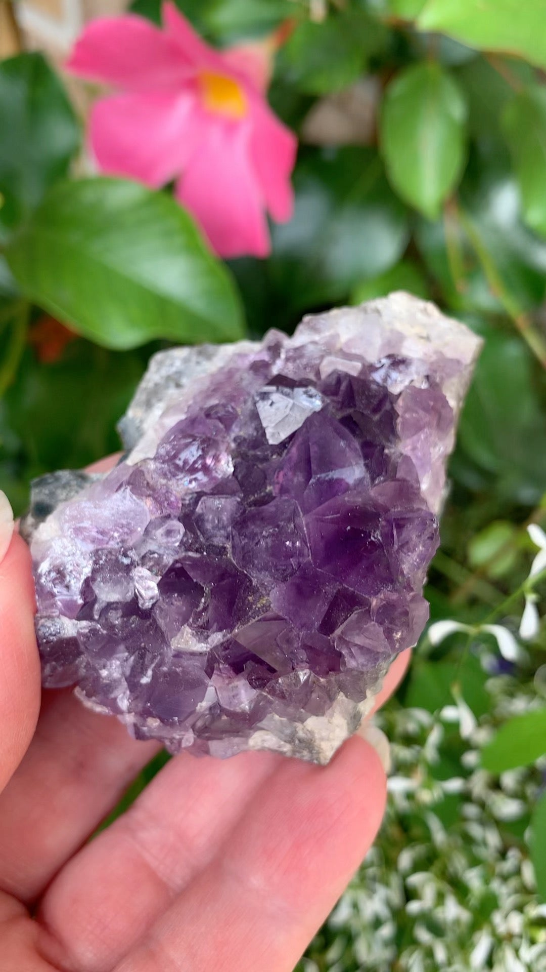 Amethyst Cluster