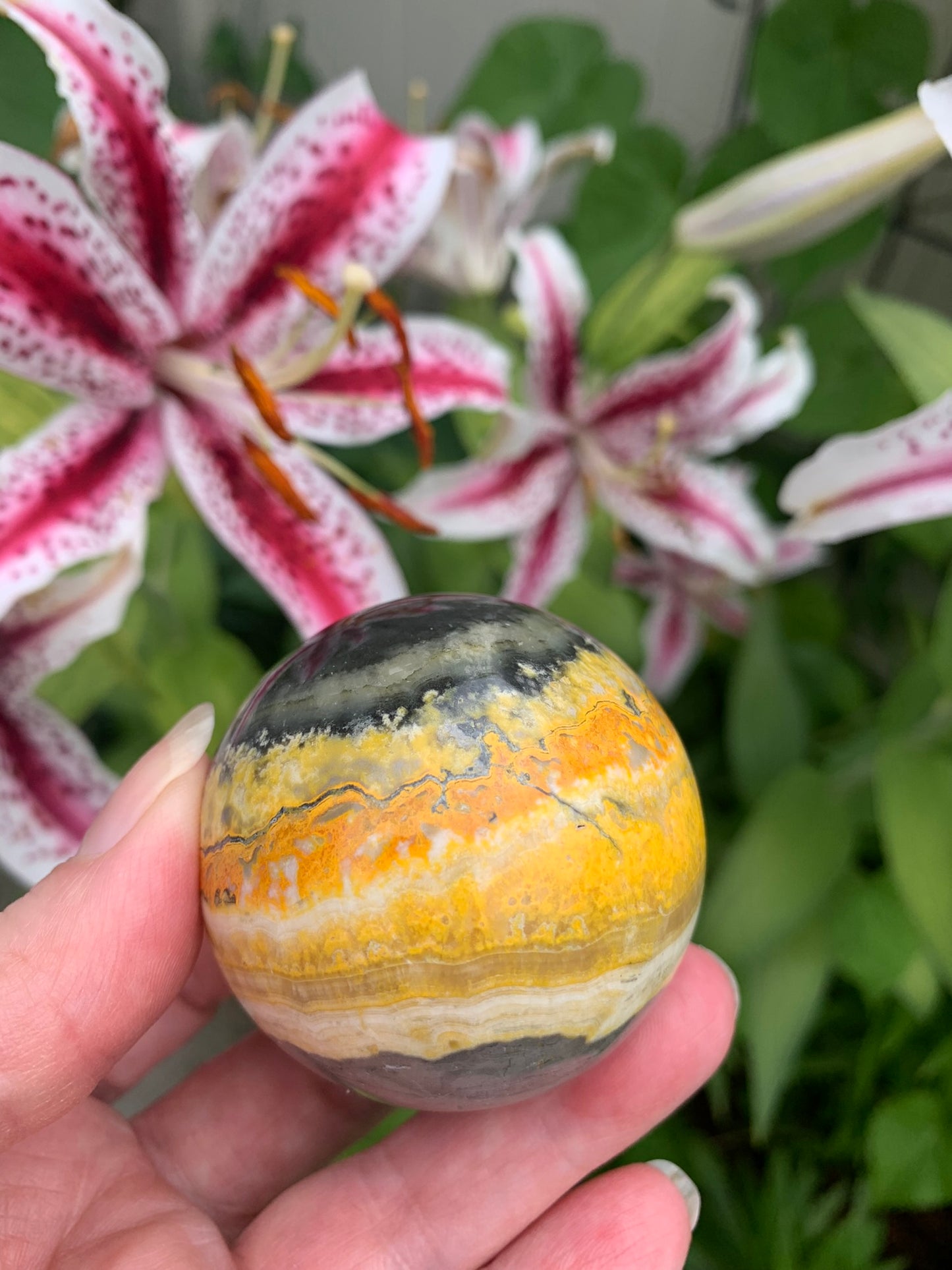 Bumble Bee Jasper Sphere