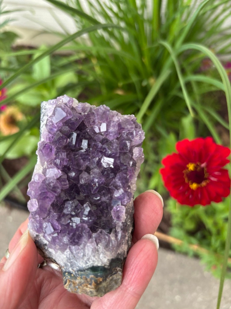 Amethyst Cluster | Uruguay