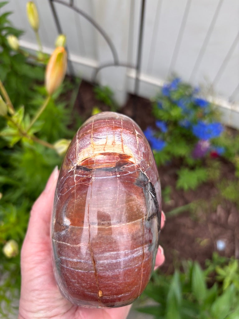 Petrified Wood - Free Form - Madagascar