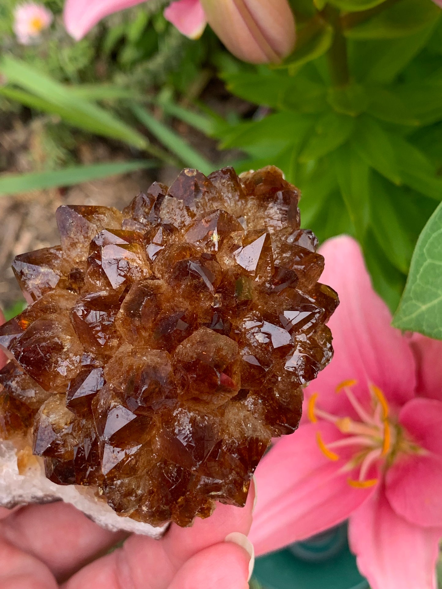 Pine Citrine Cluster - Brazil